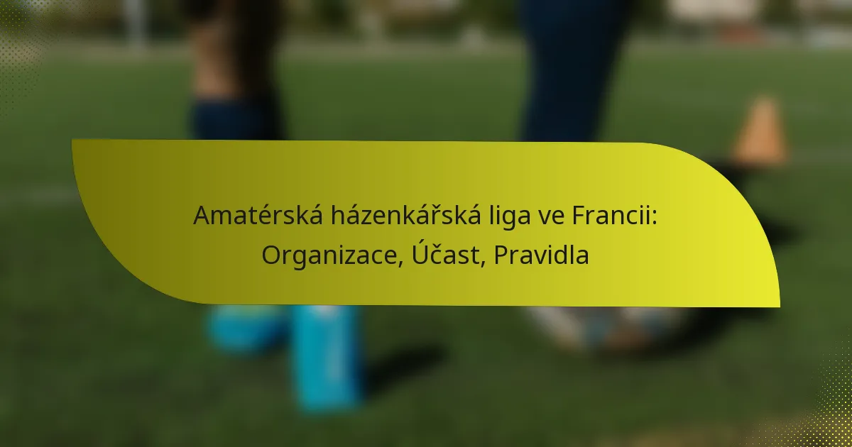 Amatérská házenkářská liga ve Francii: Organizace, Účast, Pravidla