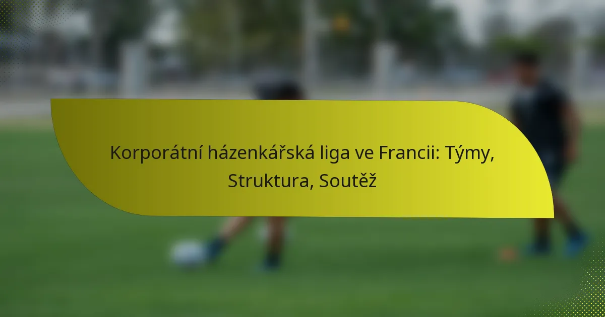 Korporátní házenkářská liga ve Francii: Týmy, Struktura, Soutěž