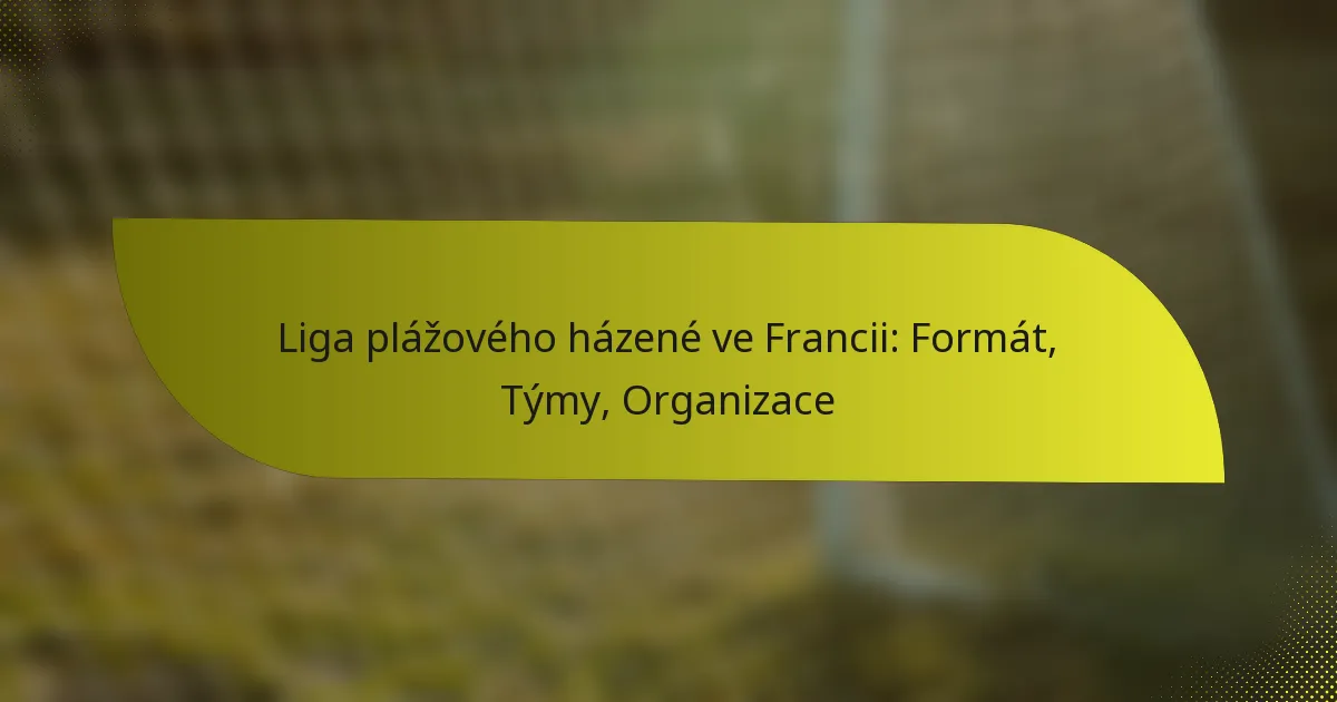 Liga plážového házené ve Francii: Formát, Týmy, Organizace