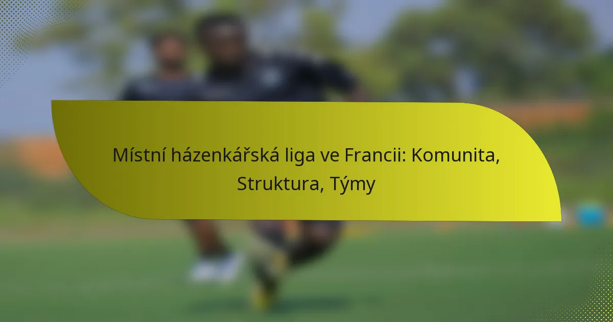 Místní házenkářská liga ve Francii: Komunita, Struktura, Týmy