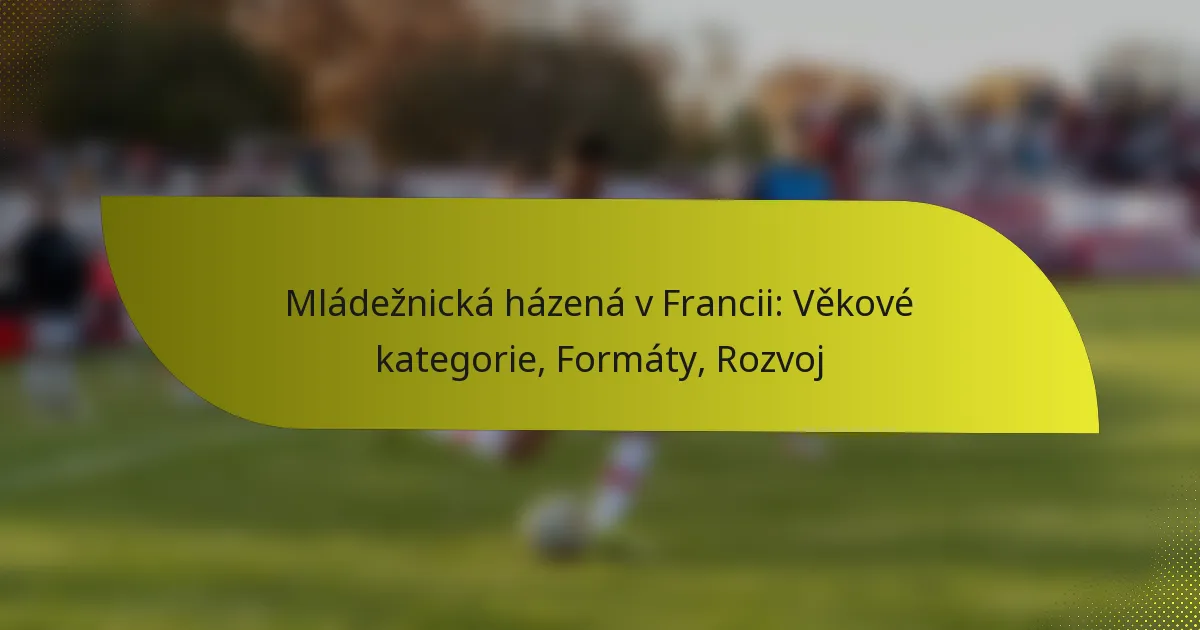 Mládežnická házená v Francii: Věkové kategorie, Formáty, Rozvoj