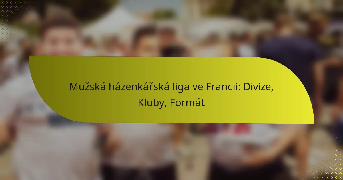 Mužská házenkářská liga ve Francii: Divize, Kluby, Formát