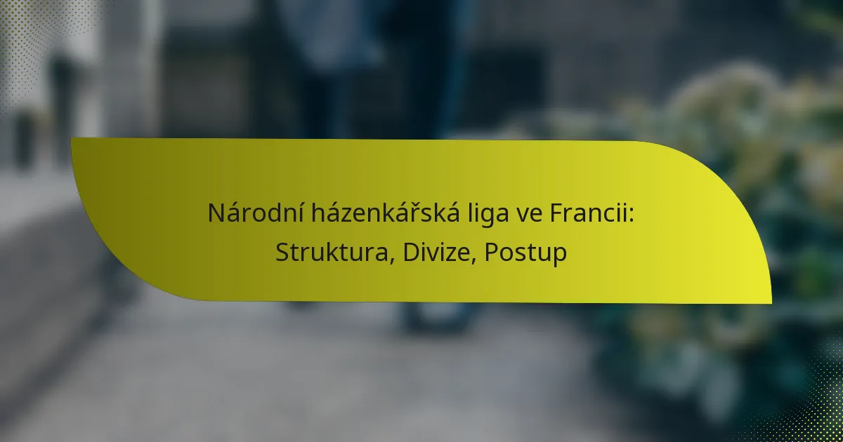 Národní házenkářská liga ve Francii: Struktura, Divize, Postup
