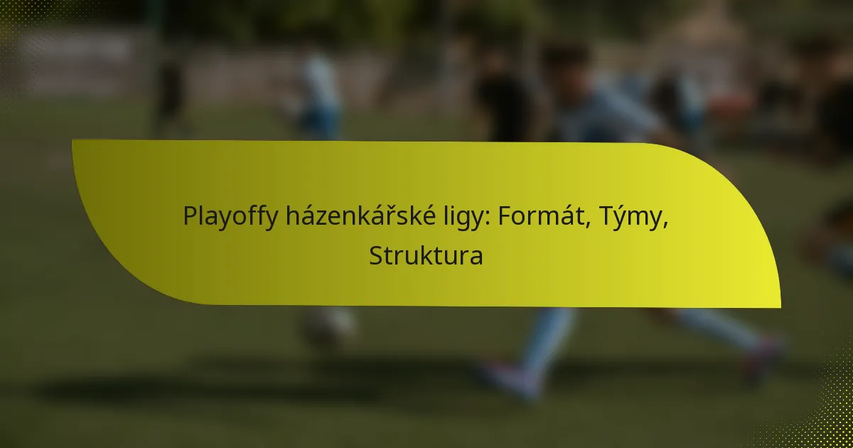 Playoffy házenkářské ligy: Formát, Týmy, Struktura