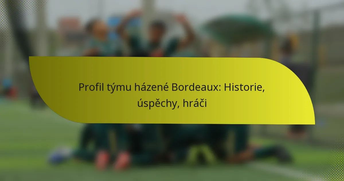 Profil týmu házené Bordeaux: Historie, úspěchy, hráči