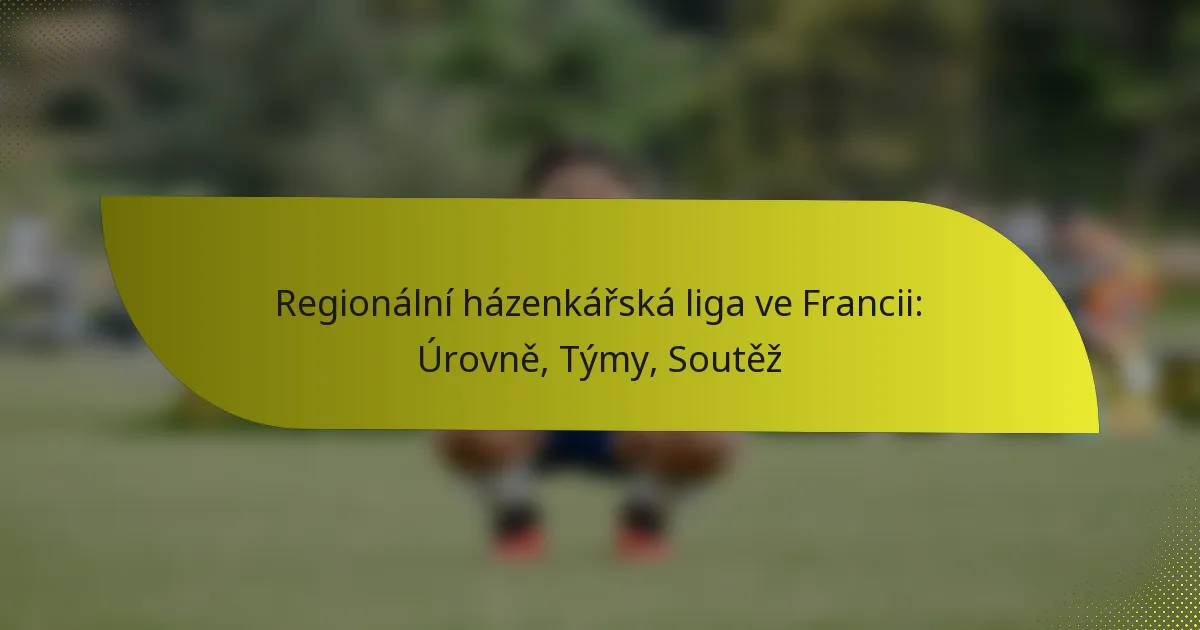 Regionální házenkářská liga ve Francii: Úrovně, Týmy, Soutěž