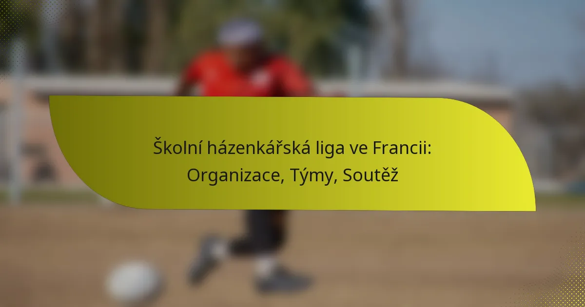 Školní házenkářská liga ve Francii: Organizace, Týmy, Soutěž