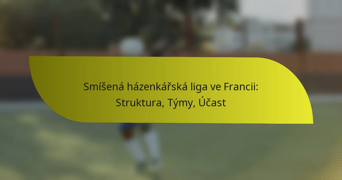 Smíšená házenkářská liga ve Francii: Struktura, Týmy, Účast