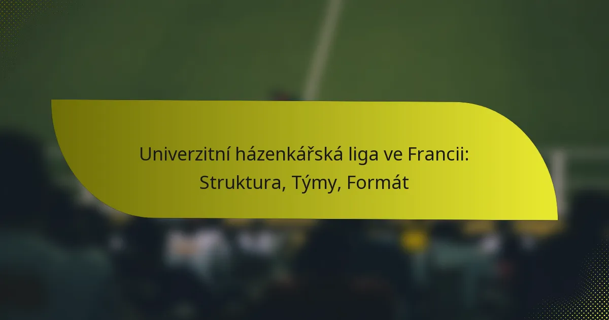 Univerzitní házenkářská liga ve Francii: Struktura, Týmy, Formát