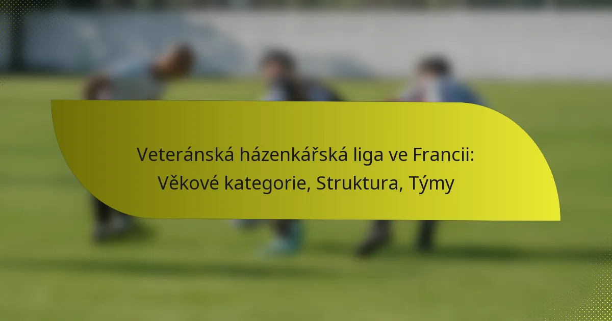 Veteránská házenkářská liga ve Francii: Věkové kategorie, Struktura, Týmy