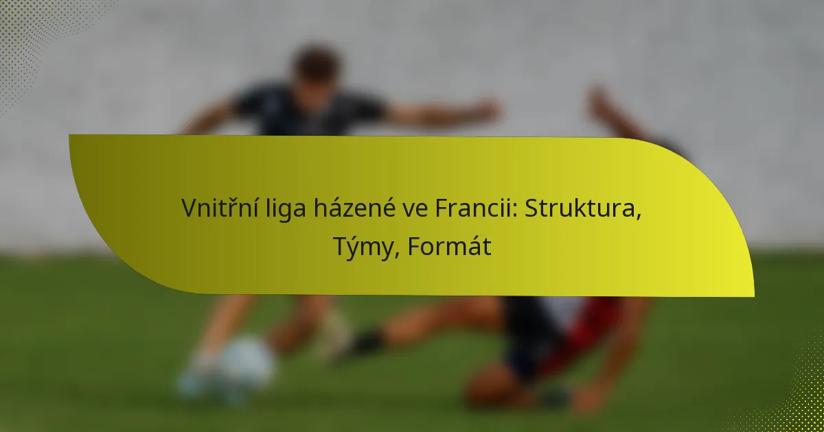 Vnitřní liga házené ve Francii: Struktura, Týmy, Formát
