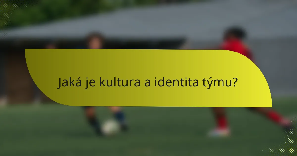 Jaká je kultura a identita týmu?