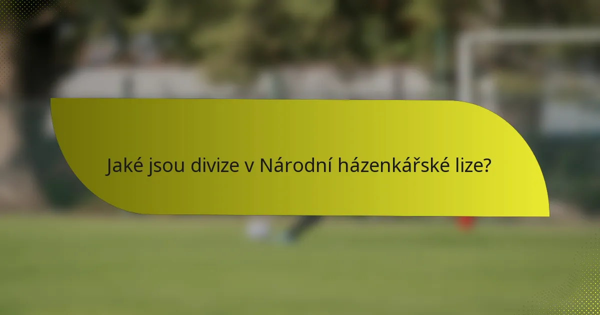 Jaké jsou divize v Národní házenkářské lize?