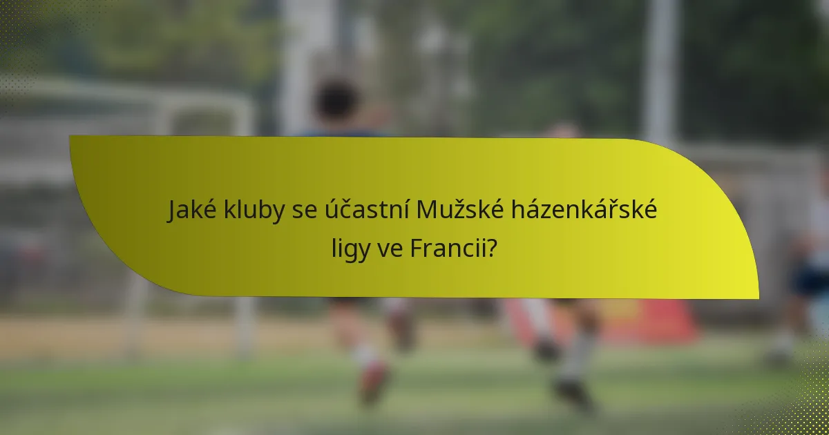 Jaké kluby se účastní Mužské házenkářské ligy ve Francii?