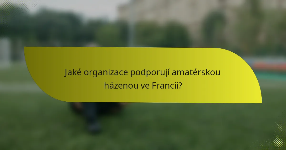 Jaké organizace podporují amatérskou házenou ve Francii?
