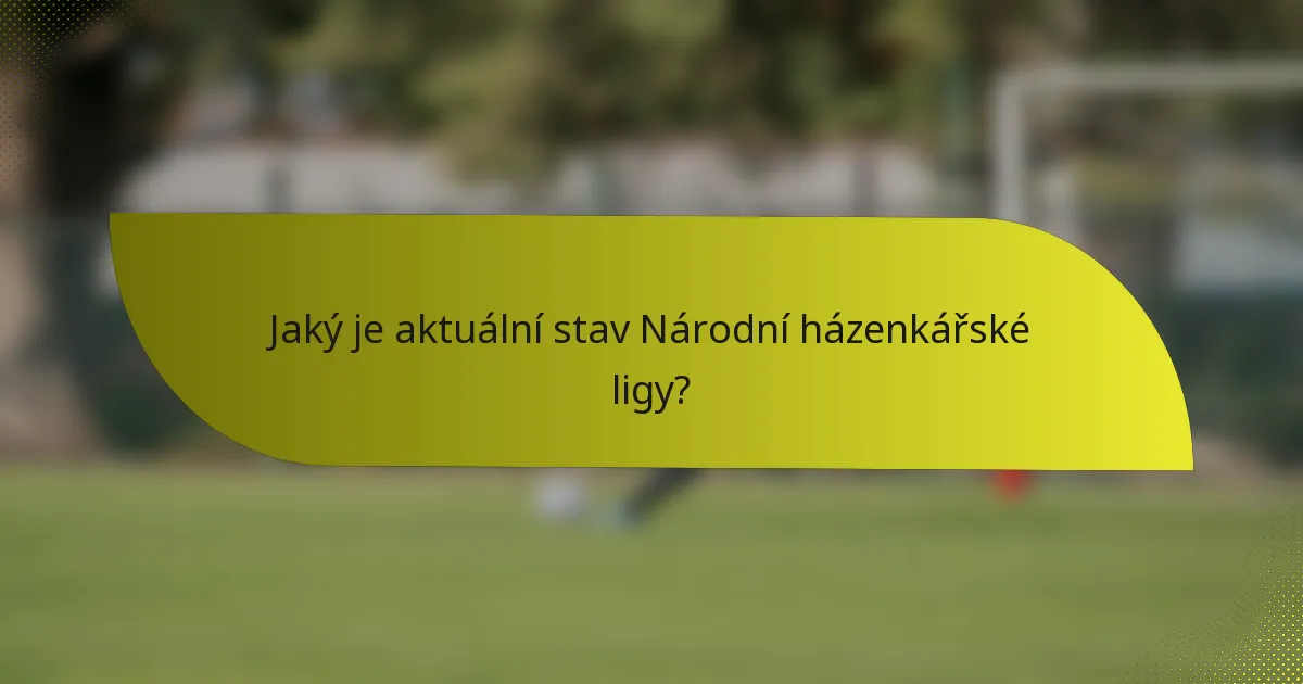 Jaký je aktuální stav Národní házenkářské ligy?